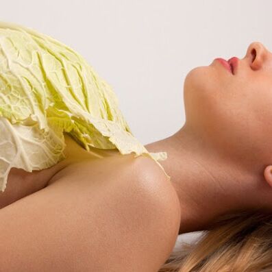 महिलाएं पत्ता गोभी का करें इस्तेमाल, फायदे जानकर रह जाएंगी हैरान