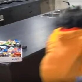 जब शेर पहुँचा चॉकलेट चुराने