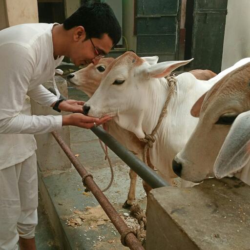 गौ माता के लिए रखे जाने वाले सभी व्रत और उनसे होने वाले लाभ गौ माता के लिए रखे जाने वाले सभी व्रत और उनसे होने वाले लाभ