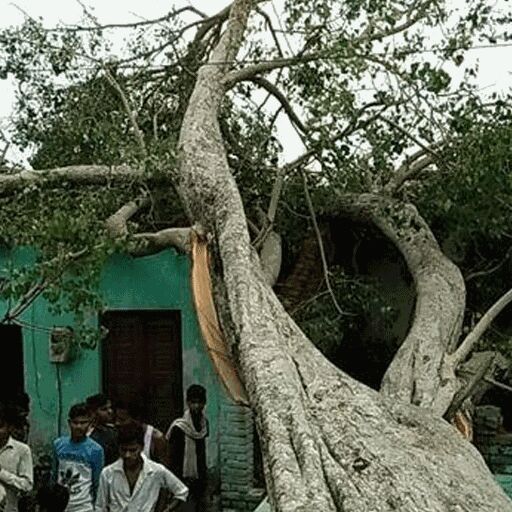 आंधी तूफान से यूपी में 12 लोगों की मौत, 4-4 लाख मुआवजे का ऐलान