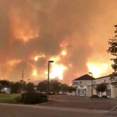 10 दिन बाद भी बुझ नहीं पाई जंगल में लगी आग, सैकड़ों घर स्वाहा 10 दिन बाद भी बुझ नहीं पाई जंगल में लगी आग, सैकड़ों घर स्वाहा