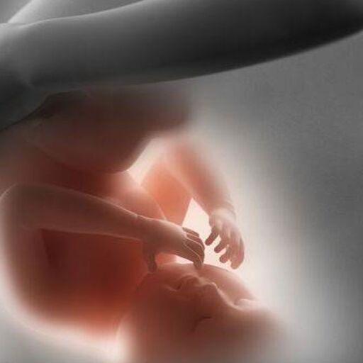 आयरलैंड में इस साल की शुरुआत में हुए एक ऐतिहासिक जनमत संग्रह के बाद देश की संसद ने गुरुवार को एक विधेयक पारित कर पहली बार गर्भपात की अनुमति दे दी. आयरिश प्रधानमंत्री लियो वराडकर ने इसे ऐतिहासिक क्