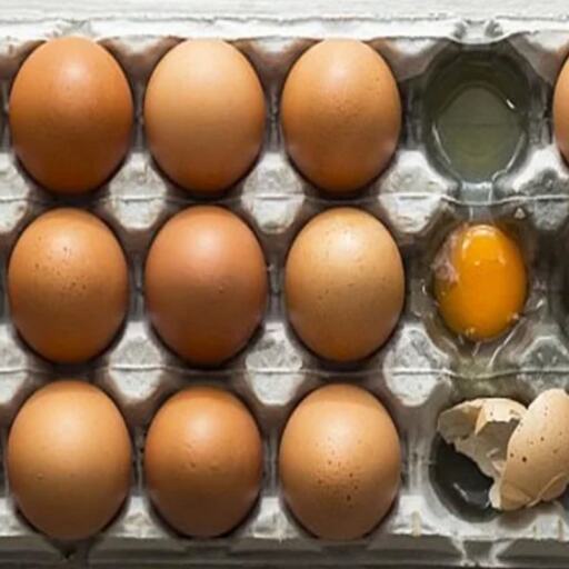 फ्रिज में रखे अंडे ने मचाया भौकाल, मालकिन ने कर डाली एंबूलेंस में कॉल