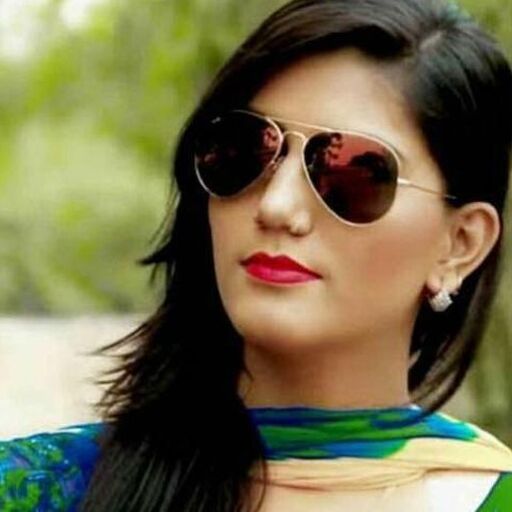 बॉलीवुड की मशहूर हीरोइनों जैसी है सपना चौधरी की लाइफस्टाइल, लाखों में कमाई और करोड़ों का बंगला