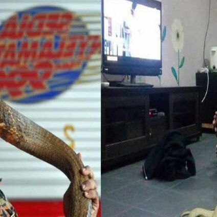 इस आदमी ने की जहरीले सांप से शादी