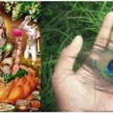 घर में है मोरपंख तो आप रातोंरात करोड़पति बन जायेंगे... घर में है मोरपंख तो आप रातोंरात करोड़पति बन जायेंगे...