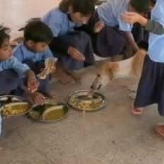 यहां बच्चों को नहीं कुत्तों को नसीब होता है थाली में मिड-डे मील