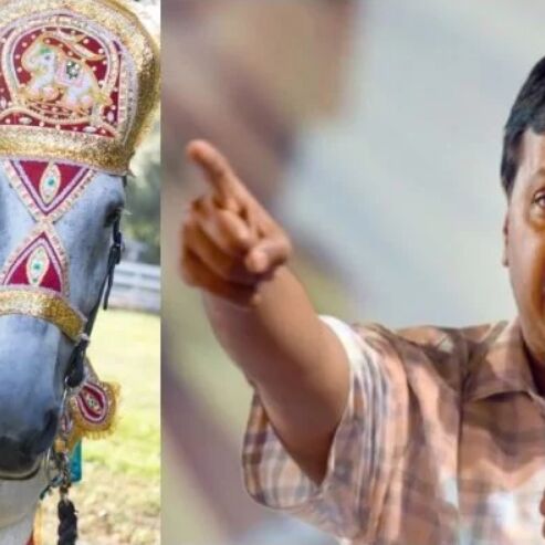 केजरीवाल सरकार ने लगाई दूल्हों के घोड़ी चढ़ने पर रोक, ये रही वजह