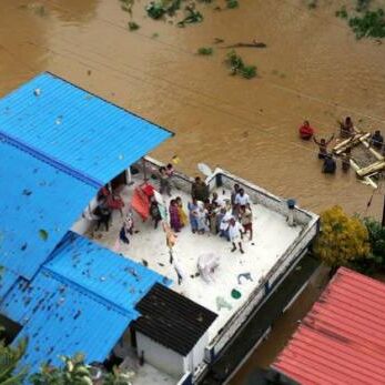 केरल में सामान्य हो रहे हैं हालात: NDRF के डीजी केरल में सामान्य हो रहे हैं हालात: NDRF के डीजी