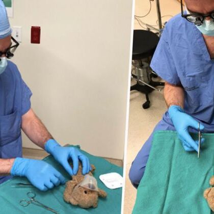 इस बड़े सर्जन ने कर दिया छोटे से टेडी बीयर का असली ऑपरेशन, जानें वजह इस बड़े सर्जन ने कर दिया छोटे से टेडी बीयर का असली ऑपरेशन, जानें वजह