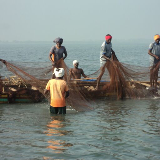 श्रीलंका में फिर से 27 भारतीय मछुआरे गिरफ्तार...