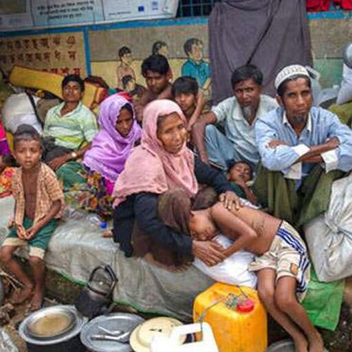 म्यांमार के रोहिंग्याओं के हालातों पर अमेरिका ने जताई चिंता,