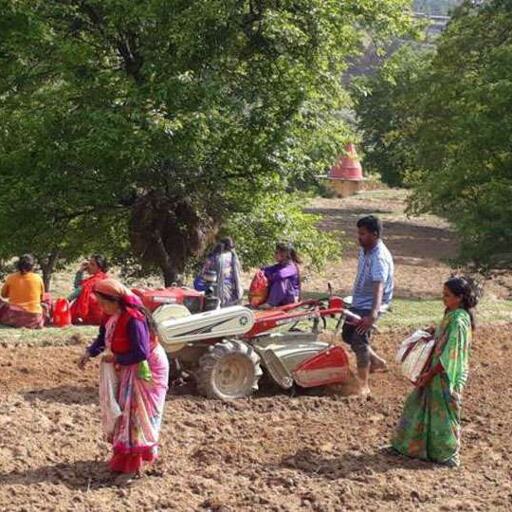 आजीविका के संबल से सशक्त हो रही हैं यहां की महिलाएं