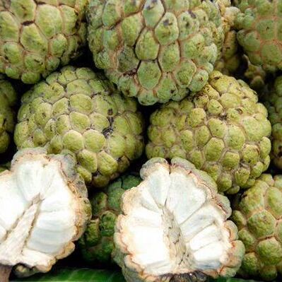 कैंसर से बचाव करते है सीताफल के बीज कैंसर से बचाव करते है सीताफल के बीज