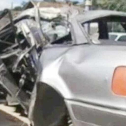 खतरनाक सड़क हादसे में 6 दिन बाद जिंदा मिली महिला