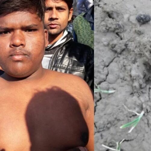 लखनऊ में फिर तेंदुए की दहशत, हमले में युवक जख्मी