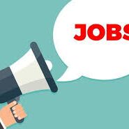 जूनियर टाइपिस्ट, स्टेनोग्राफर के विभिन्न पदों पर, अप्लाई करें, 12वीं पास जूनियर टाइपिस्ट, स्टेनोग्राफर के विभिन्न पदों पर, अप्लाई करें, 12वीं पास