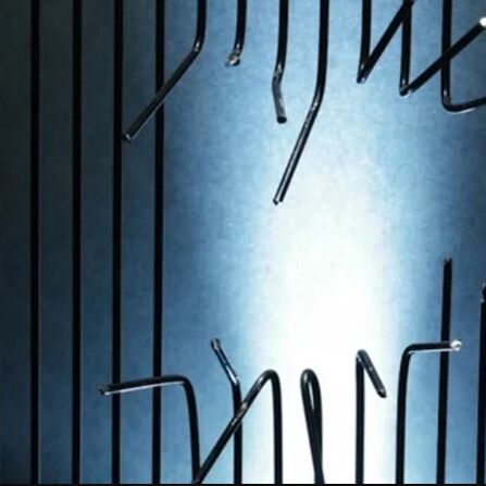 20 फीट ऊंची दीवार लांघकर जेल से भागे 3 बांग्लादेशी कैदी