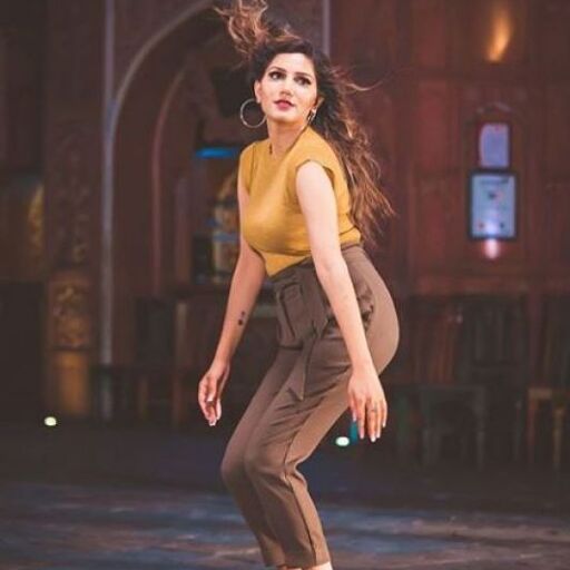 योगा करते हुए सपना ने शेयर की तस्वीर,फैंस को दी नसीहत योगा करते हुए सपना ने शेयर की तस्वीर,फैंस को दी नसीहत