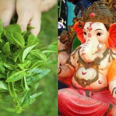 इस वजह से पूजा में गणेश भगवान को नहीं चढ़ाई जाती तुलसी