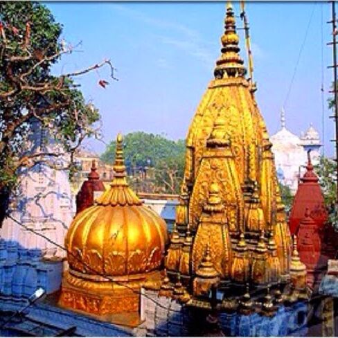 काशी विश्वनाथ मंदिर के गर्भगृह की पवित्रता के लिहाज से अब इन सामानों को किया गया बैन काशी विश्वनाथ मंदिर के गर्भगृह की पवित्रता के लिहाज से अब इन सामानों को किया गया बैन