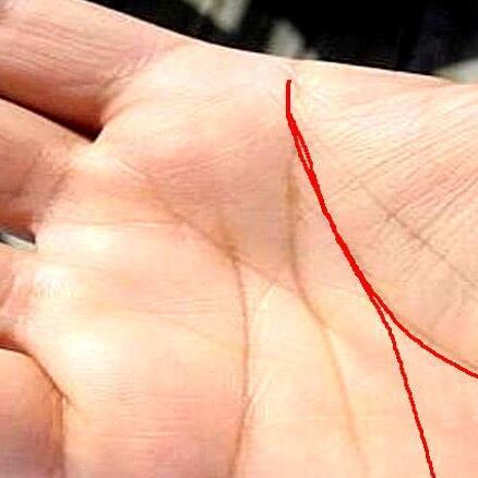 हाथों की ऐसी रेखा बताती है आपकी विदेश यात्रा होगी या नहीं