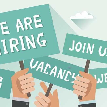 RSMSSB ने 1200 पदों के लिए निकाली वैकेंसी, ऐसे करें आवेदन