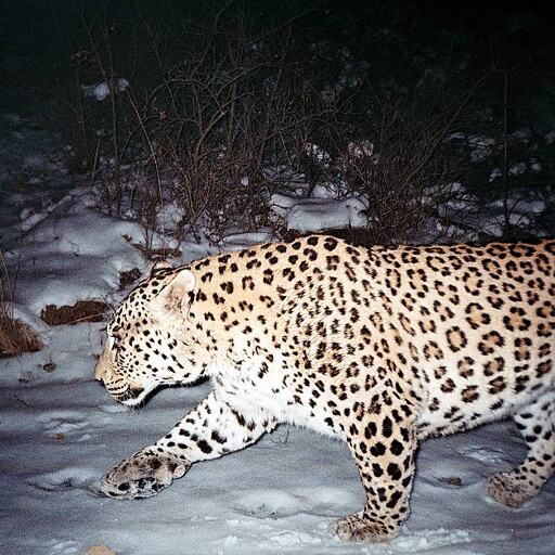 लोगों के साथ मंत्रीजी भी गुम बच्चे को खोजने में जुटे, बच्चा जिस हाल में मिला मां उससे लिपट पड़ी