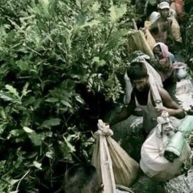 भारत में प्रवेश करने की फिराक में रोहिंग्या मुसलमान, होटलों और लॉज में डाल रखा है डेरा