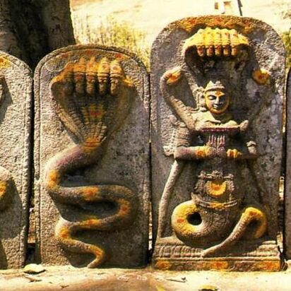 2018 नागपंचमी व्रत पूजन कथाः इसलिए होती है नाग की पूजा, मिलता है यह लाभ