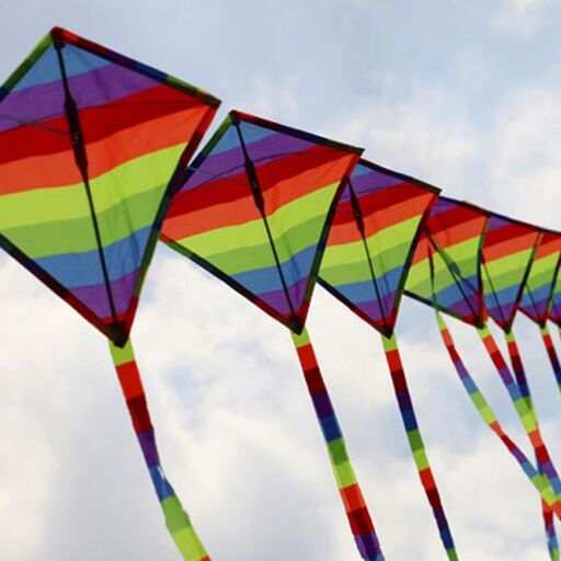 12 साल के बाद लोग मनाएंगे वसंतोत्सव, कट्टरपंथियों के डर से लगाई गई थी रोक