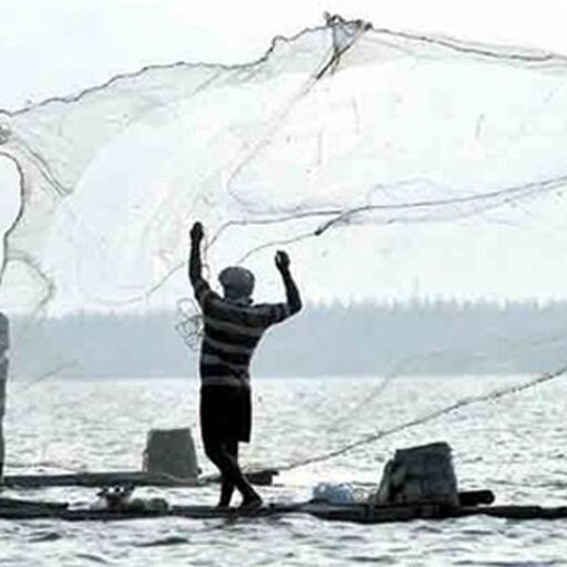 पाकिस्तान ने 18 भारतीय मछुआरों को किया गिरफ्तार, लगाया उनके क्षेत्र में मछली पकड़ने का आरोप पाकिस्तान ने 18 भारतीय मछुआरों को किया गिरफ्तार, लगाया उनके क्षेत्र में मछली पकड़ने का आरोप