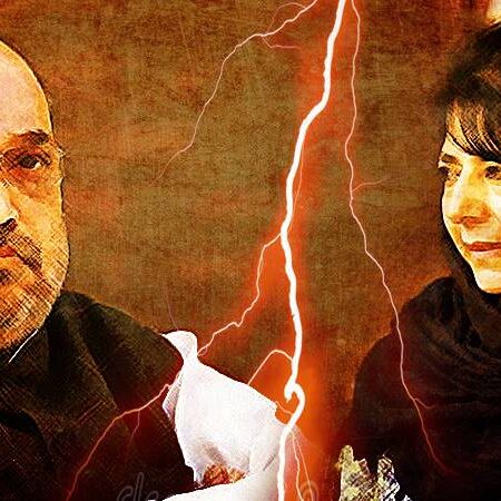 पीडीपी से समर्थन वापस लेने का फैसला चुनावी नहीं - शाह