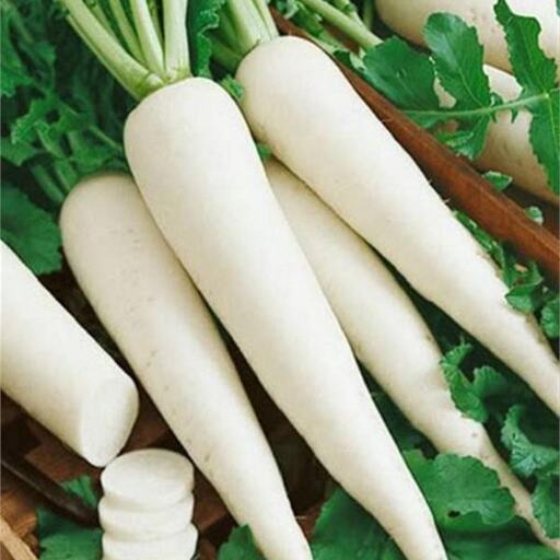 लिवर और पेट को डिटॉक्स करती है मूली