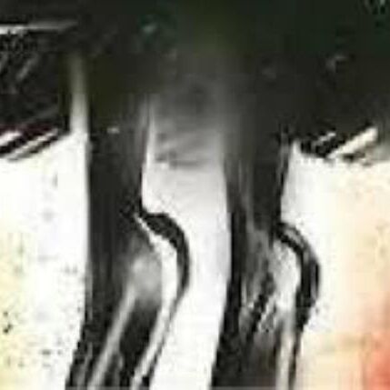 मध्यप्रदेश: दो मासूमों सहित महिला ने लगाई फांसी, जांच शुरू मध्यप्रदेश: दो मासूमों सहित महिला ने लगाई फांसी, जांच शुरू