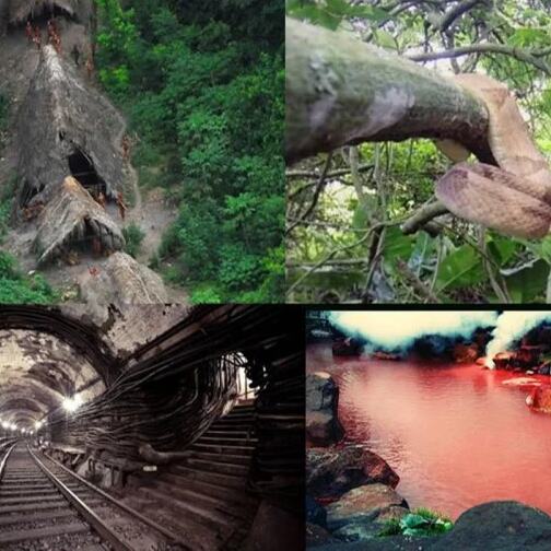 दुनिया की इन जगहों पर जाना है मना,  क्यों लगी है पाबंदी जानकर घबरा जाएंगे