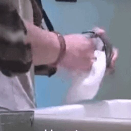 चीन के लग्जरी होटलों में एक ही तौलिये से कप-टॉयलेट की सफाई चीन के लग्जरी होटलों में एक ही तौलिये से कप-टॉयलेट की सफाई