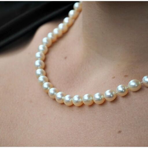 बिहार में सफेद मोतियों का काला कारोबार, जानिए कैसे धोखा खा रहे ग्राहक