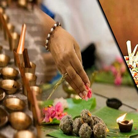 जानिए, श्राद्ध और कौए का आखिर क्या है Connection