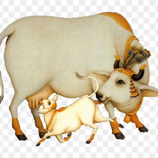 गौ माता का वैज्ञानिक महत्व