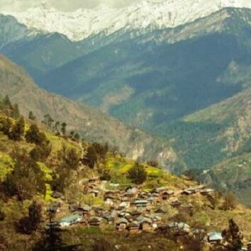 भारतीय वन सर्वेक्षण के सर्वे में हुआ खुलासा, इस कारण उच्च और मध्य हिमालयी क्षेत्रों में कम हो रहे वन