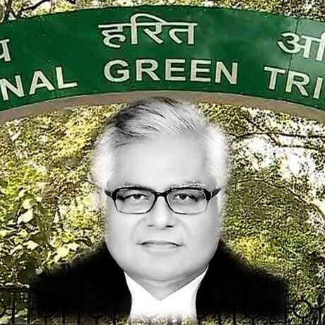 जस्टिस यूडी साल्वी बने NGT के नए कार्यकारी अध्यक्ष, स्वतंत्र कुमार की लेंगे जगह