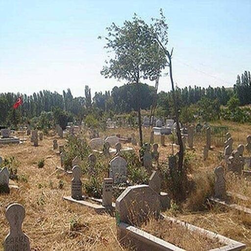 कब्रिस्तान ले जा रहे थे दफनाने, अचानक मुर्दे ने कर दी ऐसी हरकत सब रह गए सन्न…