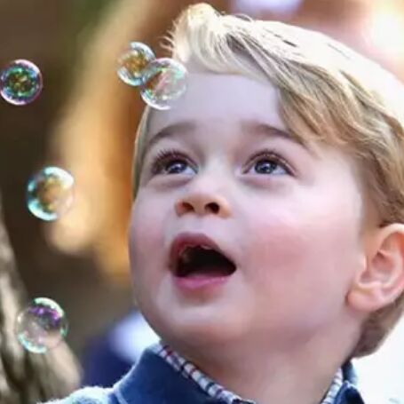 प्रिंस जॉर्ज को मारने वाले प्रिंस जॉर्ज को मारने की साजिश रचने वाले ने कबूला गुनाह, मिली सज़ा