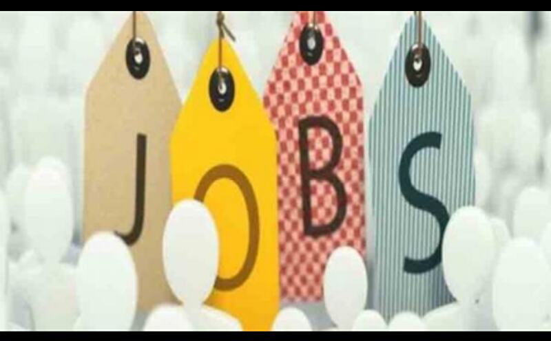 राजस्थान में निकली 3779 पदों पर बंपर भर्ती, जल्दी करें अप्लाई