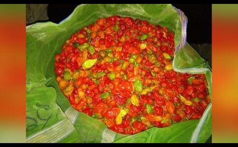 तो ये है दुनिया की सबसे तीखी मिर्ची
