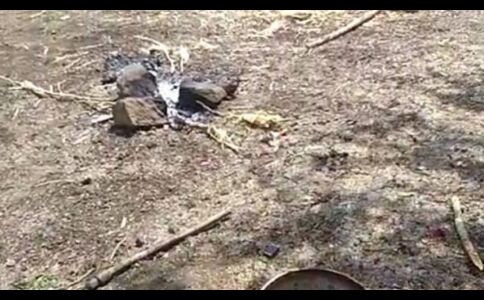 पुणे: वन परिक्षेत्र में चिंकारा हिरण की मौत, पास में ही चल रही थी पार्टी