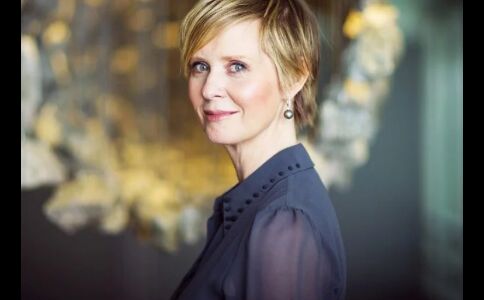 सेक्स एण्ड सिटी स्टार सिंथिया हो सकती हैं न्यूयॉर्क की अगली गवर्नर