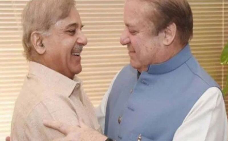 नवाज शरीफ के छोटे भाई शाहबाज होंगे PML-N के अंतरिम अध्यक्ष: सूत्र
