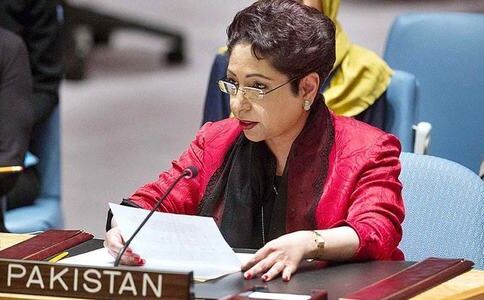 मलीहा लोधी ने आतंकवाद को लेकर कही ये बड़ी बात...